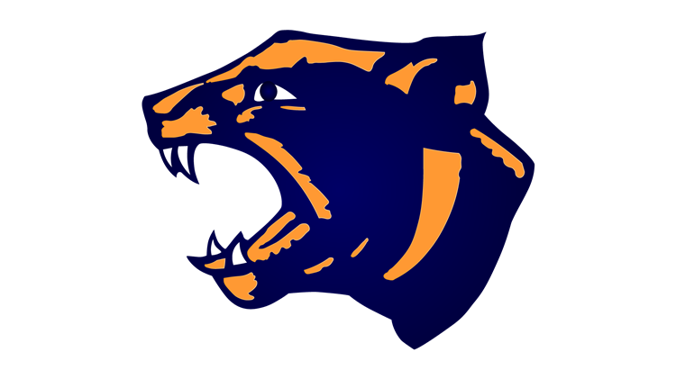 Retro Panther Logo 